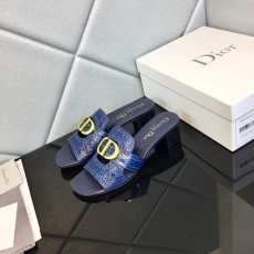 Christian Dior Slippers